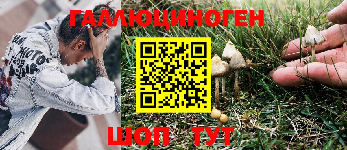 Галлюциногенные грибы MAGIC MUSHROOMS  Вход с VPN  Борисоглебск 