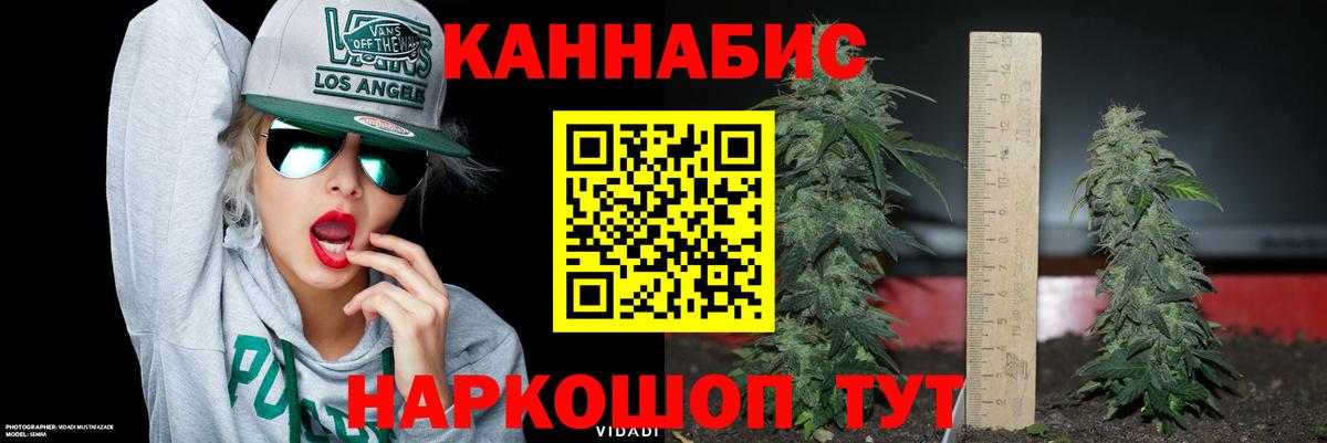 Бошки Шишки планчик Борисоглебск